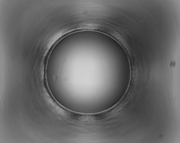 X0000111951083200907271431