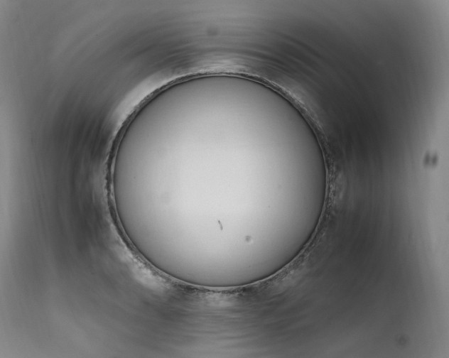 X0000111951086200907271431