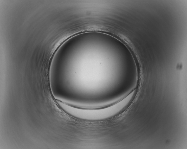 X0000111951089200907271431