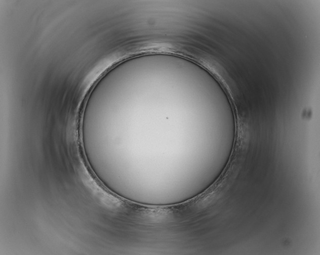 X0000111951090200907271431