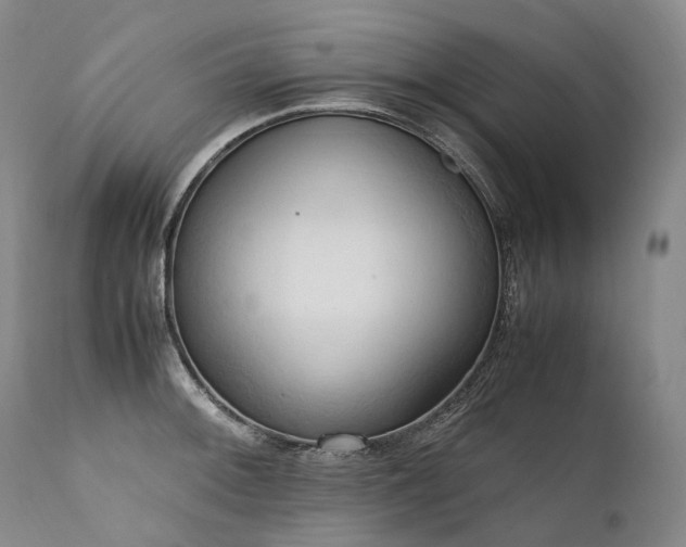 X0000111951092200907271431