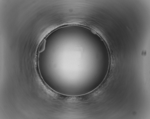 X0000111951093200907271431
