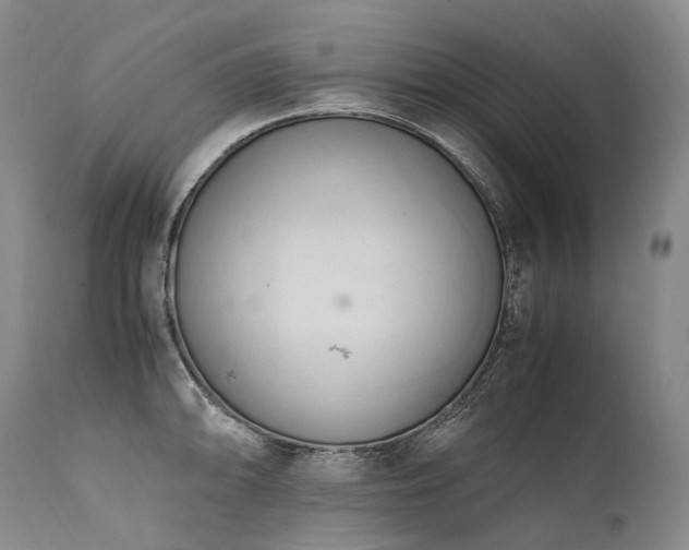 X0000111951094200907271431