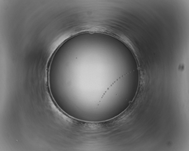 X0000111951095200907271431