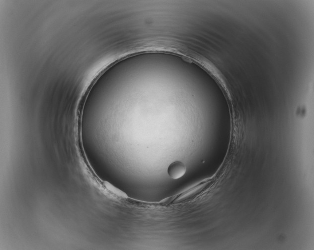X0000111951096200907271431