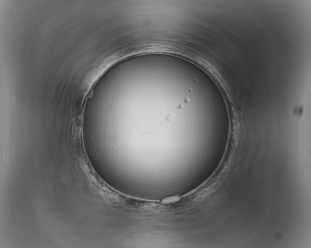 X0000111951097200907271431