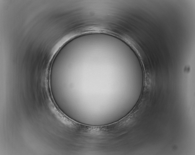X0000111951098200907271431