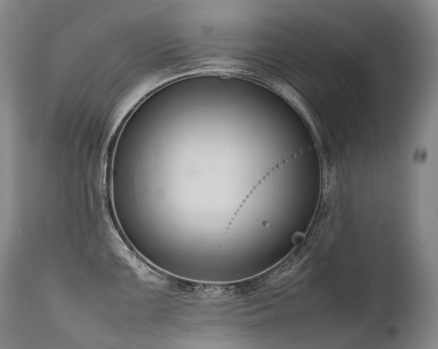 X0000111951099200907271431