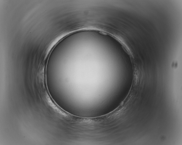 X0000111951100200907271431