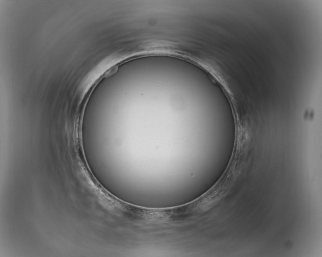 X0000111951101200907271431