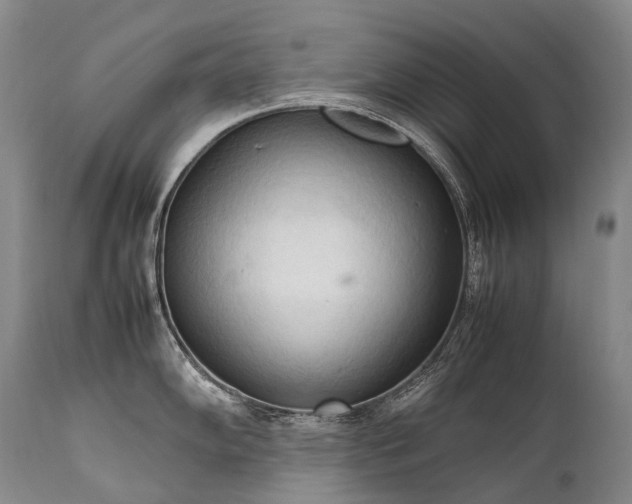 X0000111951102200907271431