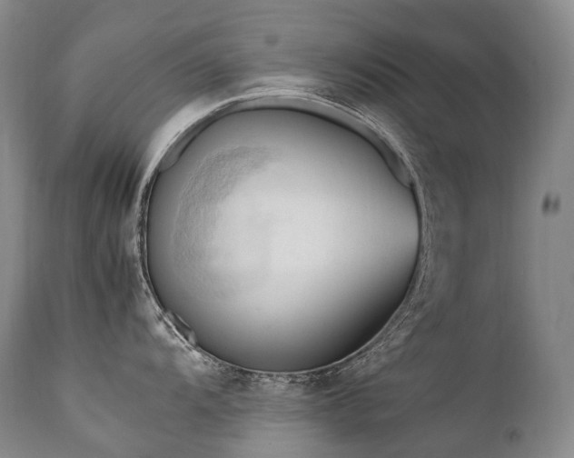 X0000111951104200907271431