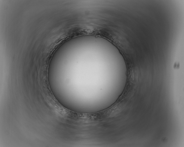 X0000111951105200907271430