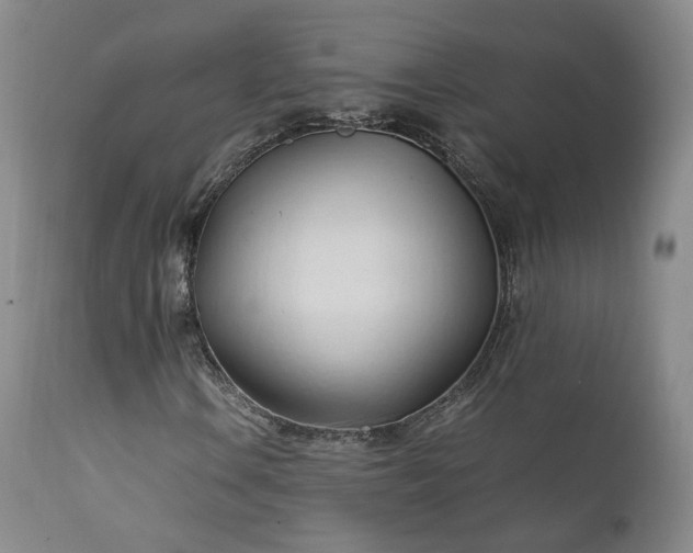 X0000111951106200907271430
