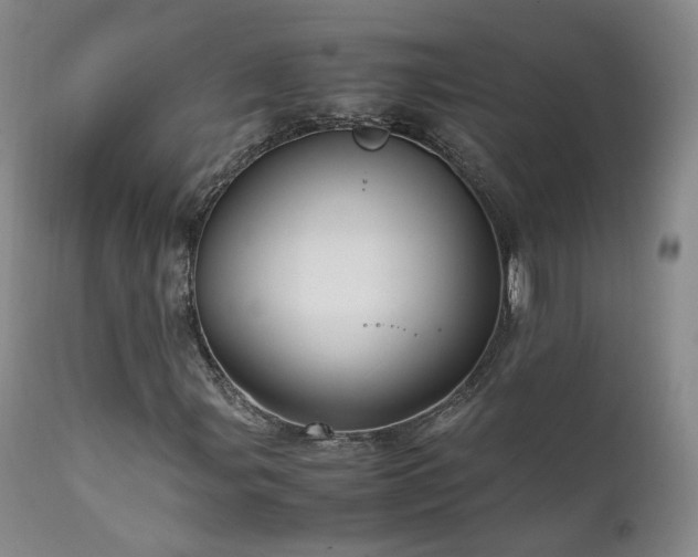 X0000111951107200907271430