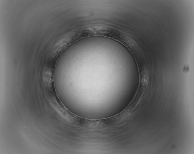 X0000111951108200907271430