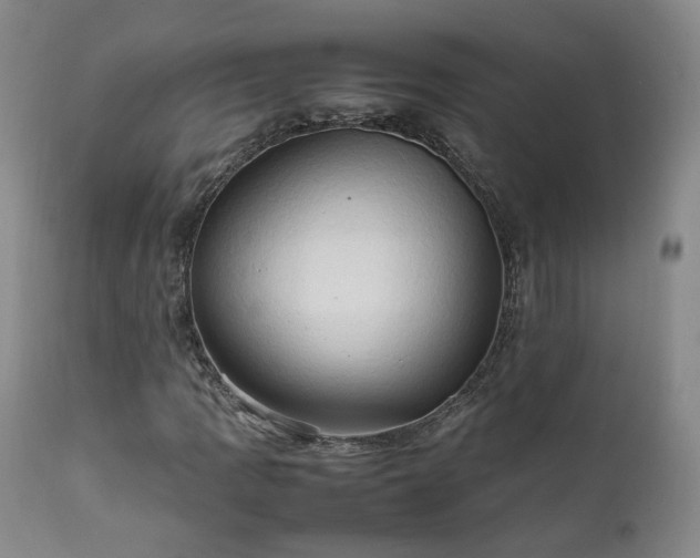 X0000111951109200907271430