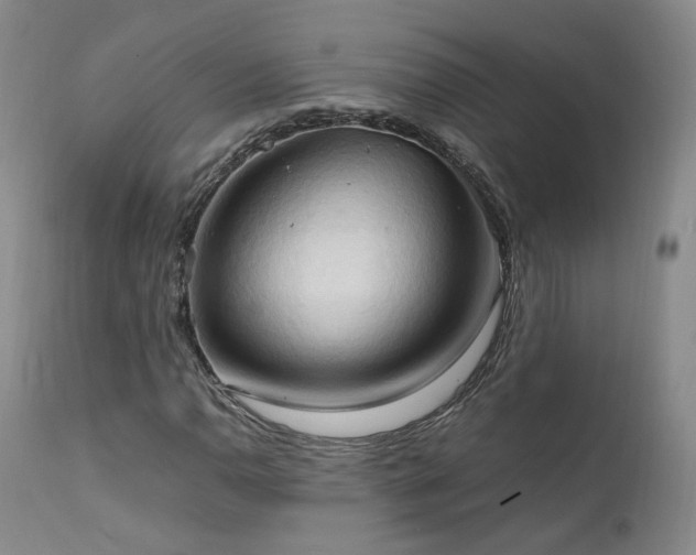 X0000111951110200907271430