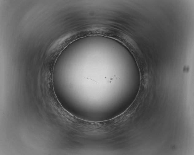 X0000111951111200907271430