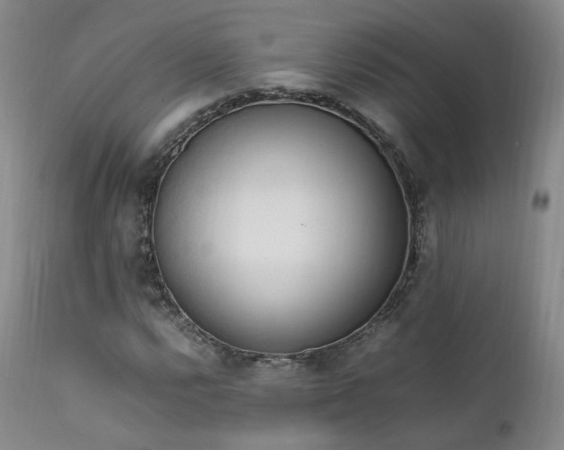 X0000111951112200907271430