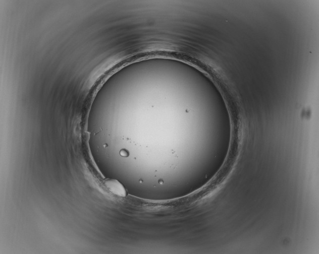 X0000111951113200907271430