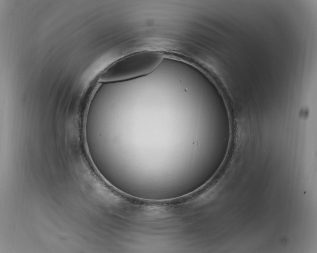 X0000111951114200907271430