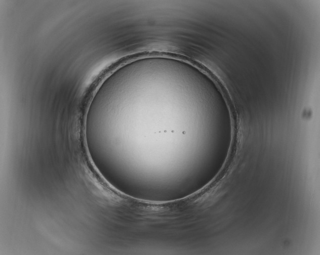 X0000111951115200907271430