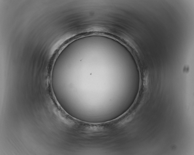 X0000111951117200907271430