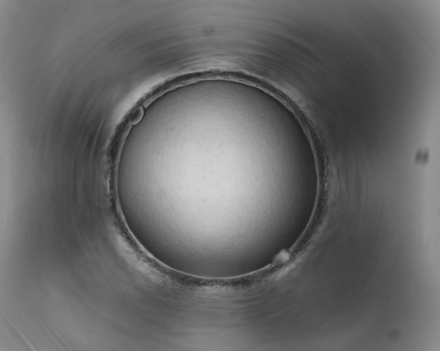 X0000111951118200907271430