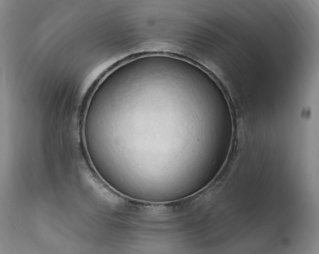 X0000111951120200907271430