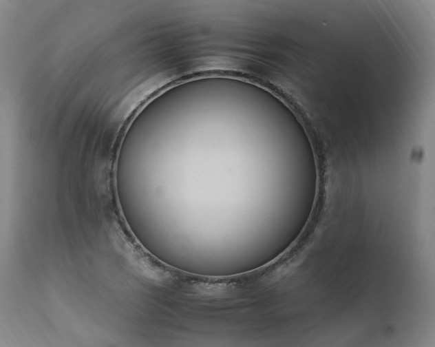 X0000111951121200907271430