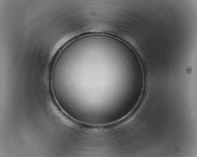X0000111951122200907271430