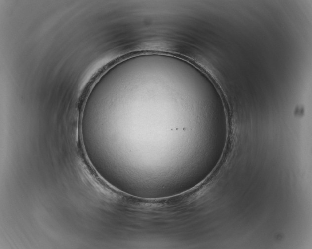 X0000111951123200907271430