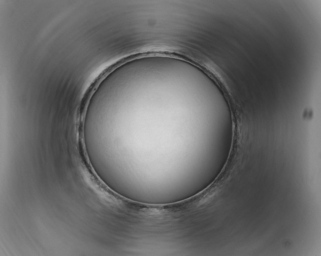 X0000111951124200907271430