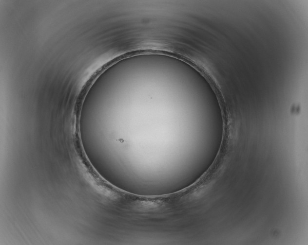 X0000111951125200907271430