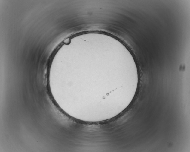 X0000111951126200907271430