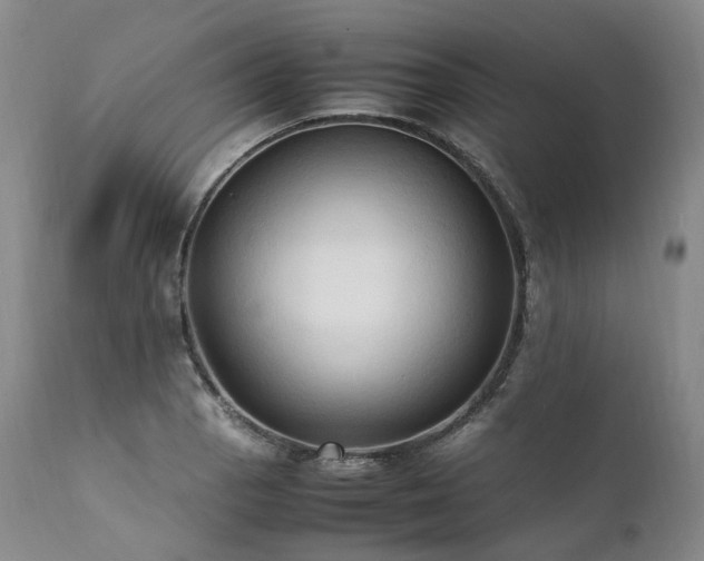 X0000111951129200907271430