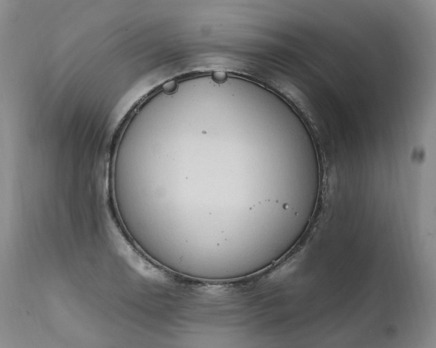 X0000111951130200907271430