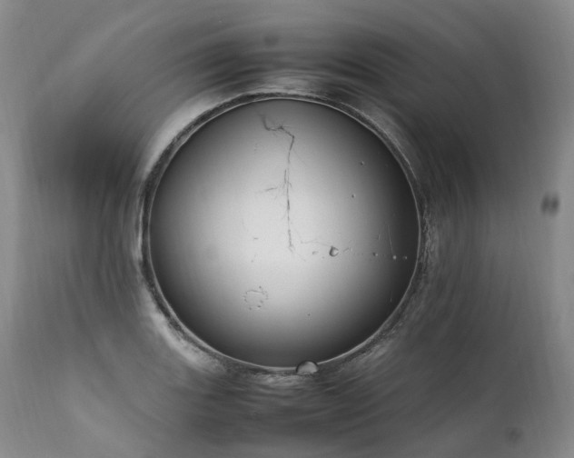 X0000111951131200907271430