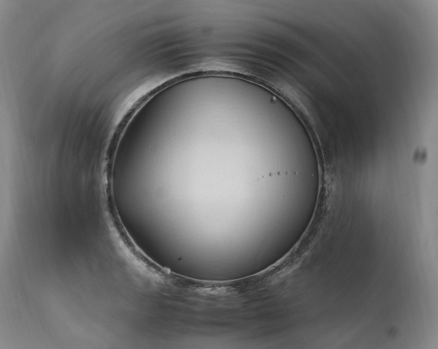 X0000111951133200907271430