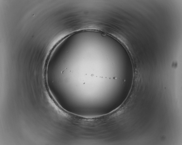 X0000111951135200907271430