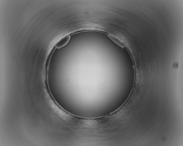 X0000111951136200907271430