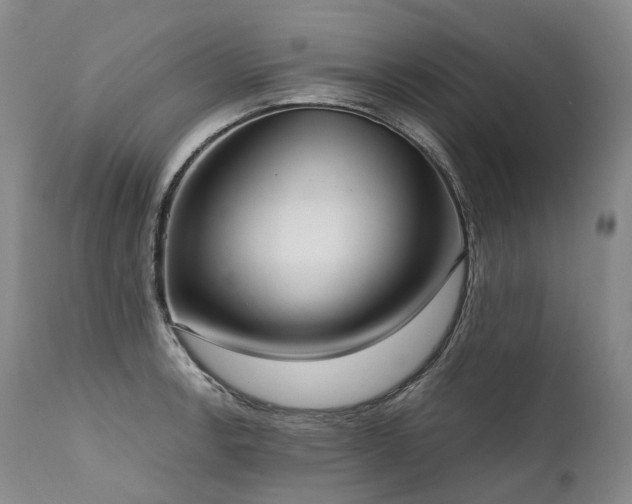 X0000111951138200907271430