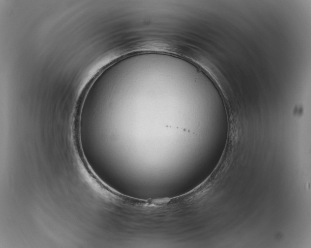 X0000111951139200907271430