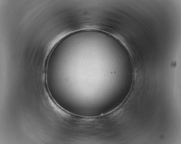 X0000111951143200907271431