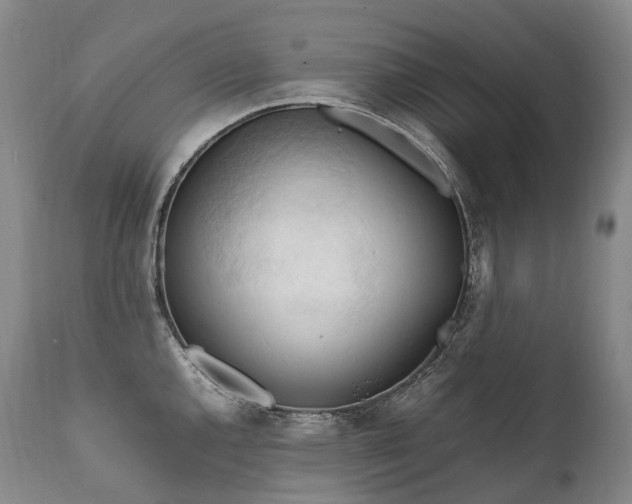 X0000111951144200907271431