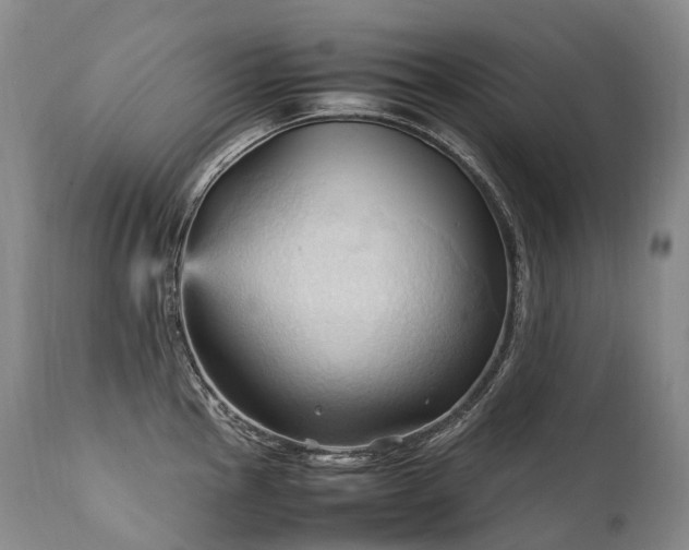 X0000111951145200907271431