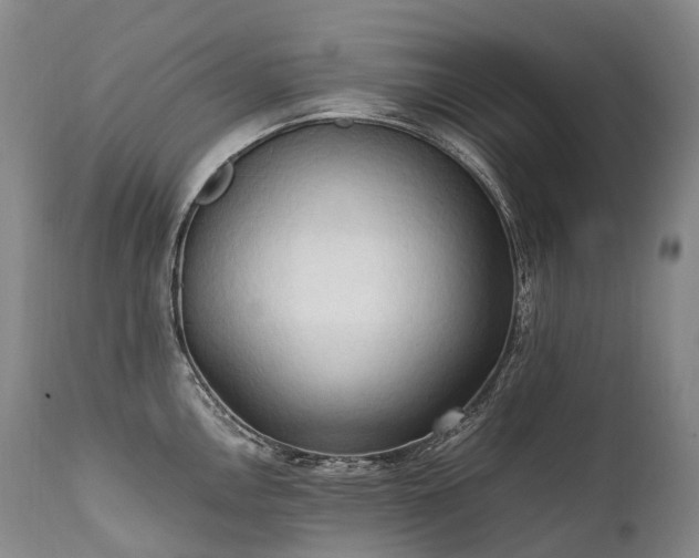 X0000111951146200907271431