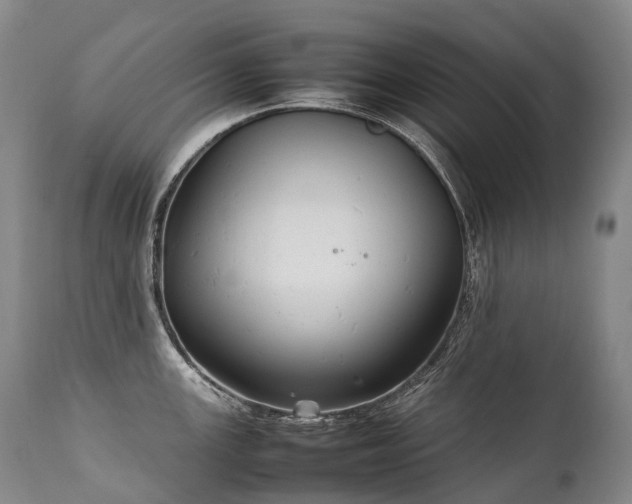 X0000111951147200907271431