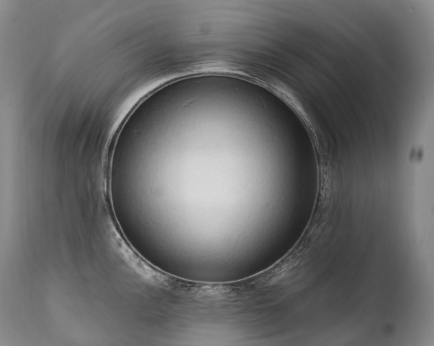 X0000111951148200907271431